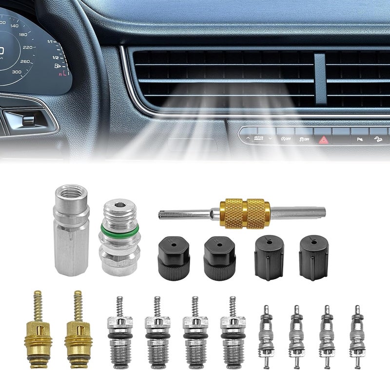 Pleoos Air Conditioning Valve Core Kit for R12 or R134a | Teflon Seal Refrigeration A/C Air Conditioning Service Valve Car & HVAC AC Charging Port Seal Caps Kit (A/C System Cap & Valve Seal Kits) - Image 1